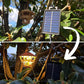 Solar LED Lights