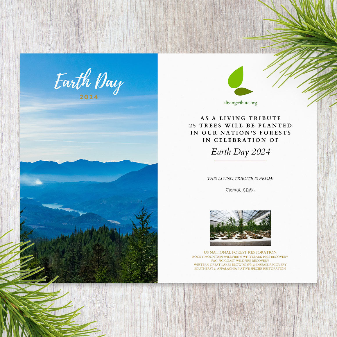 Plant a Tree for Earth Day 2026 - A Living Tribute