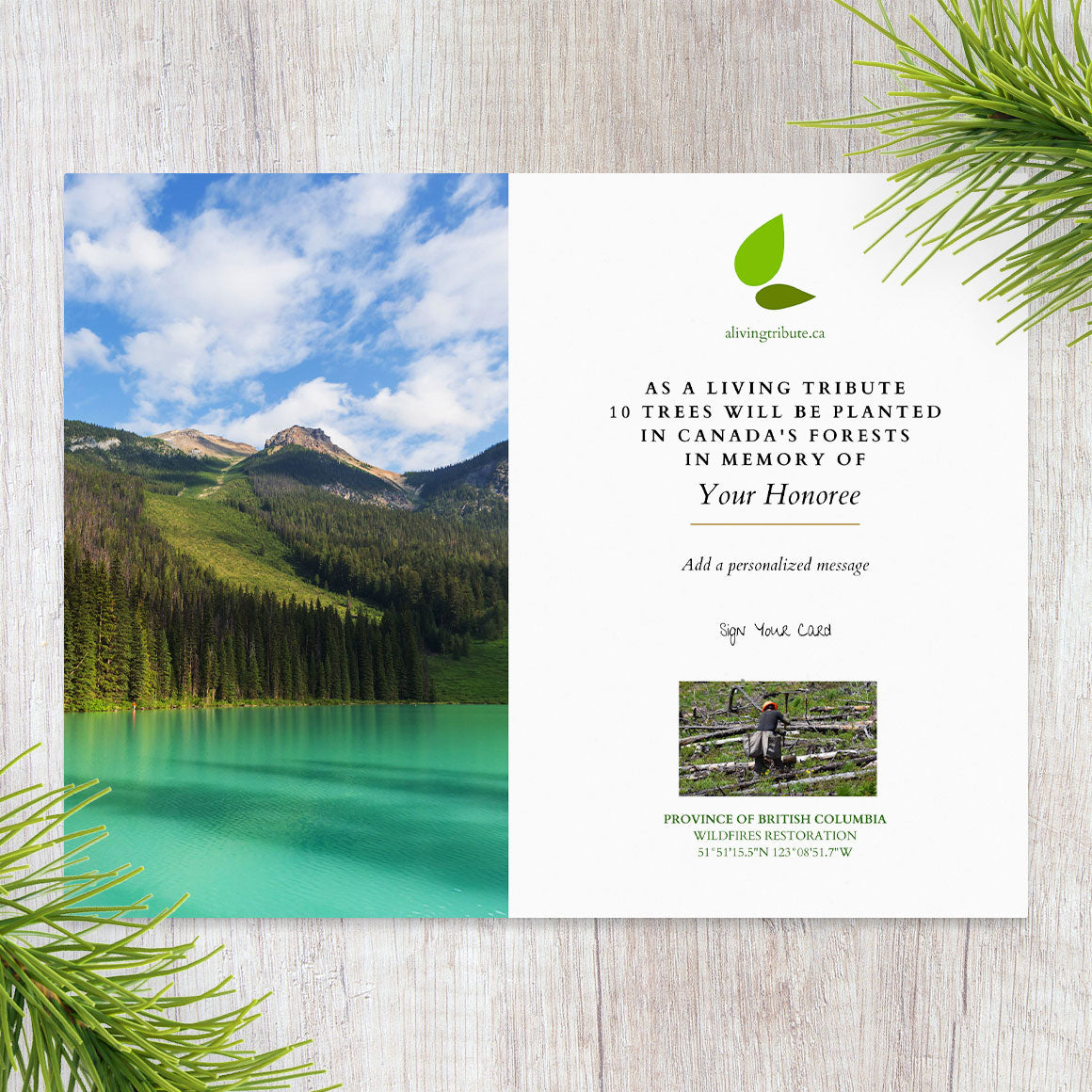 Planta un árbol en Canadá con tarjeta conmemorativa por correo