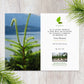 Planta un árbol en Canadá con tarjeta conmemorativa por correo