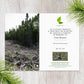 Planta un árbol en Canadá con tarjeta conmemorativa por correo