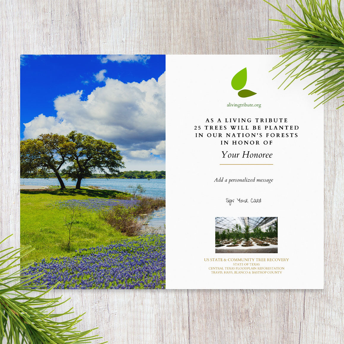 Planta un árbol para alguien en Texas - Árboles conmemorativos y de homenaje
