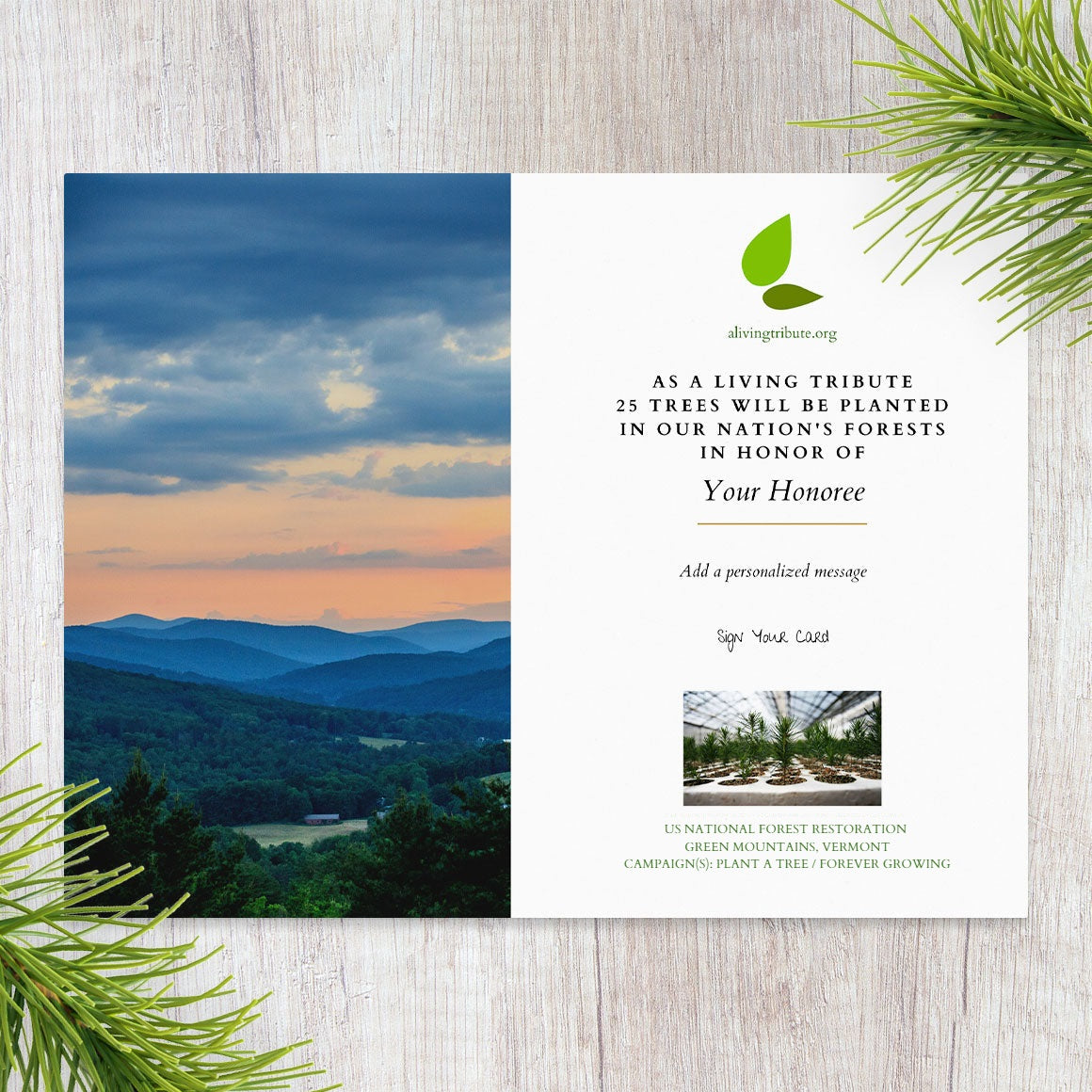 Planta un árbol para alguien en Vermont - Árboles conmemorativos y de homenaje