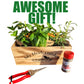 Herb Window Garden Gift Set- Complete windowsill herb garden growing kit