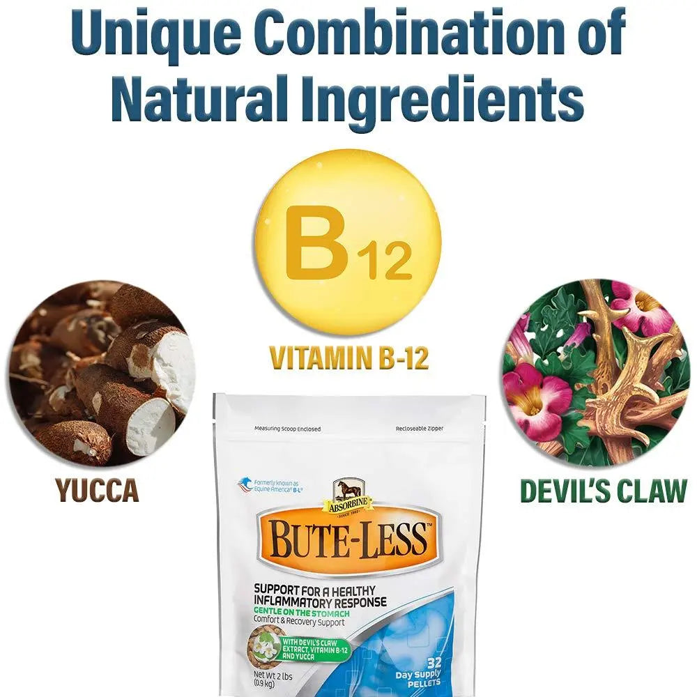 Absorbine Bute-Less Comfort & Recovery Support Pellets 10 lb / 160 Day Supply