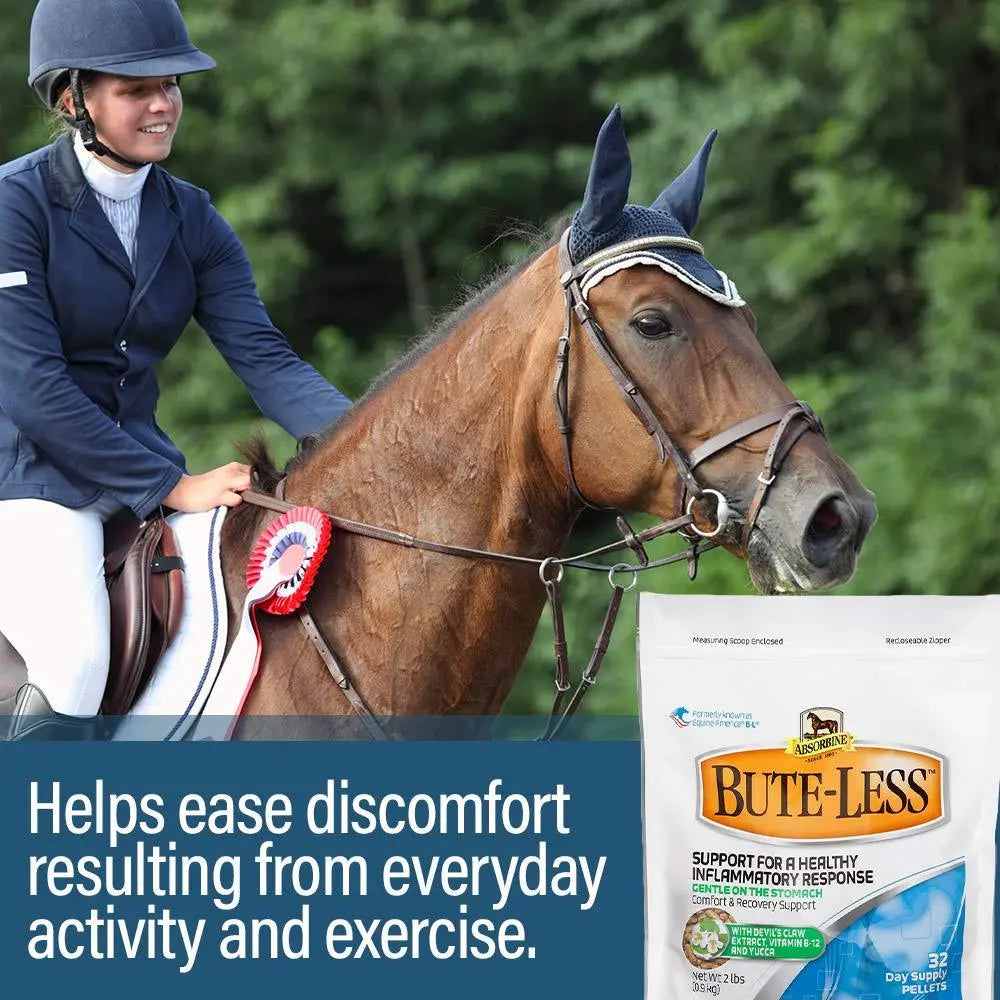 Absorbine Bute-Less Comfort & Recovery Support Pellets 10 lb / 160 Day Supply