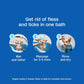 Adams Plus Flea & Tick Shampoo with Precor IGR – Kills Fleas, Ticks & Lice, 12 oz