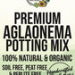 Aglaonema Premium Potting Mix