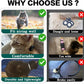 AirTag Cat Collar – Reflective Breakaway Kitten Collar w/ Holder & Bell
