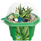 Alex 'The Soothing' Aloe Micro Dome Terrarium