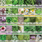 Gardening Seeds Kit - 105 Varieties of Vegetable, Fruit, Herb, and Flower Seeds