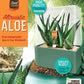 Aloe Seed Square Terrarium