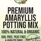 Amaryllis Premium Potting Mix
