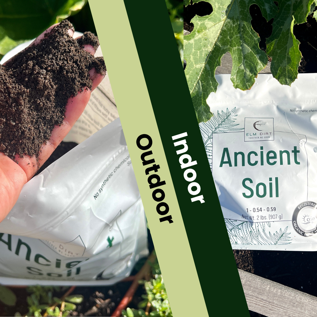 Ancient Soil Organic Living Soil