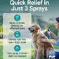 Anti-Itch Pet Skincare Spray for Dogs –Aloe, Rose & Coconut Hot Spot Relief
