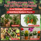 Hormex Mother Mist - Cal-Mag-Iron + B1 Misting Spray for All Plant Varieties - Boost Growth, Strengthen Plants & Improve Cloning Success - Nutrient Mist for Houseplants, Flowers, Vegetables & More