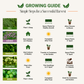 Garden Guru Herb Seed Set - Non-GMO