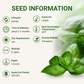 Garden Guru Genovese Sweet Basil Seeds 3-Pack - Non-GMO