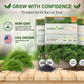 Garden Guru Long Island Mammoth Dill Seeds 3-Pack - Non-GMO