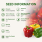 Garden Guru California Wonder Bell Pepper Seeds 3-Pack - Non-GMO