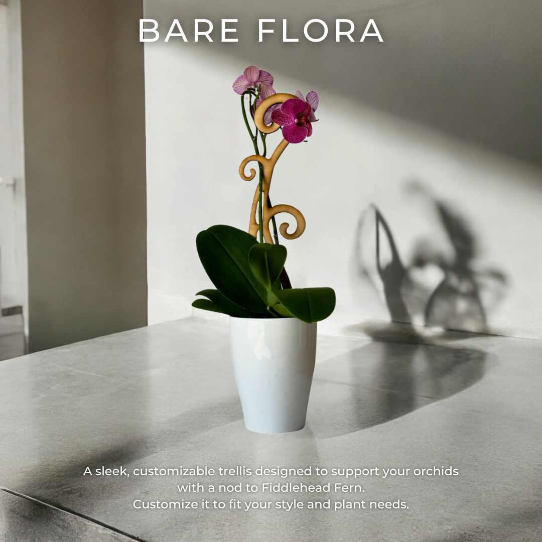 BARE™ Flora™ - Customizable wooden plant support - Perfect for Orchids