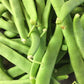 BEAN Seeds, Kentucky Wonder Pole