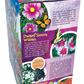 Bountiful Butterfly Garden Biosphere Terrarium