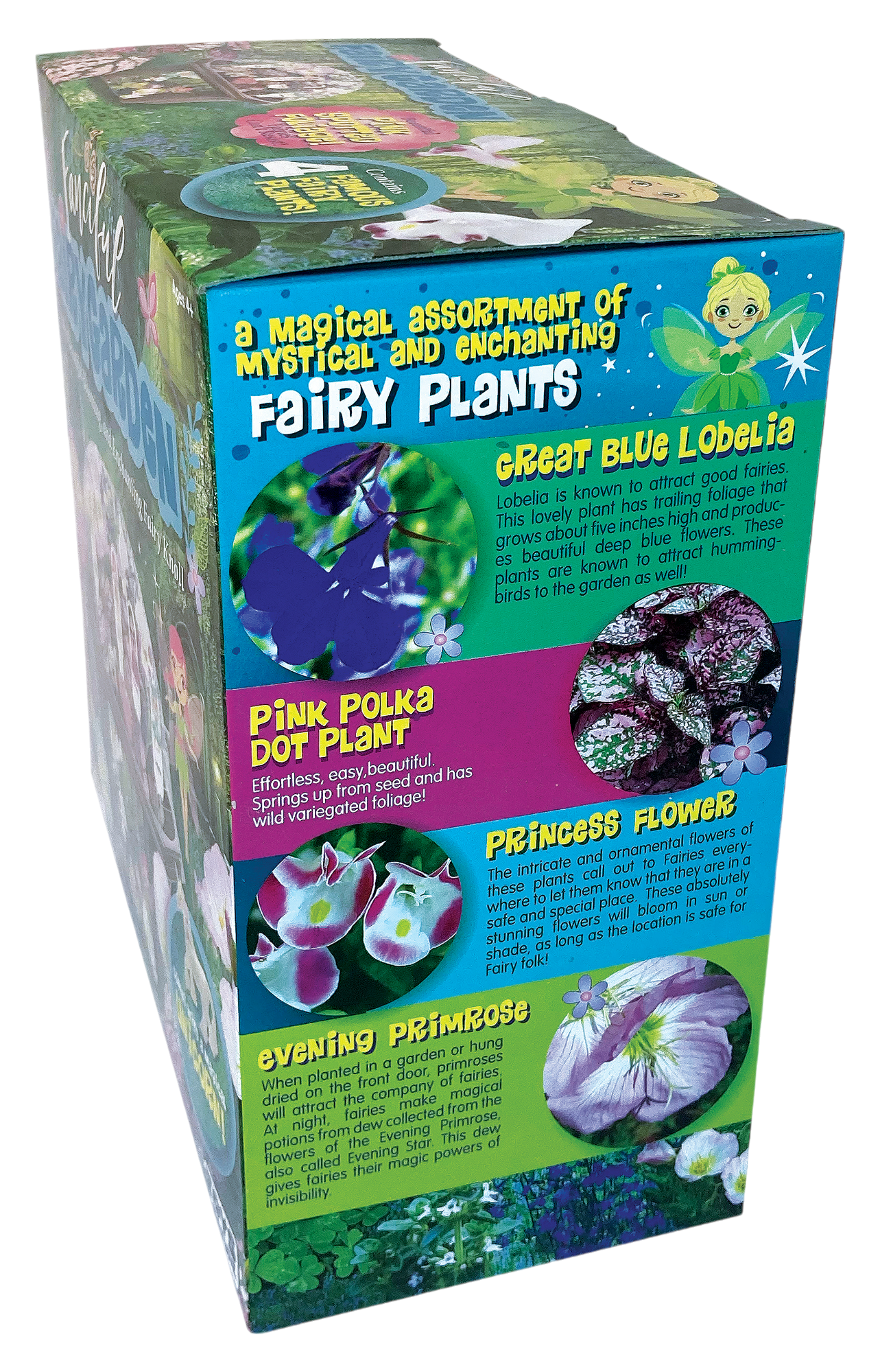 Fanciful Fairy Garden Biosphere Terrarium