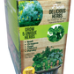 Culinary Herb Collection Biosphere Terrarium