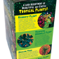 Tropical Rainforest Jungle Biosphere Terrarium