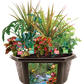 Tropical Rainforest Jungle Biosphere Terrarium