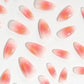 Coral Sunset | Soft & Durable Press-On Nails