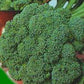 BROCCOLI Seeds, Waltham