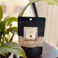 Coastal Cottage Car Diffuser