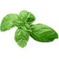 Genovese Basil Seeds