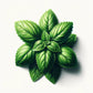 Basil (Holy Tulsi - Kapoor) Seeds (4x)