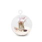 Set of 3 Beachy Globe Terrariums with White Sand