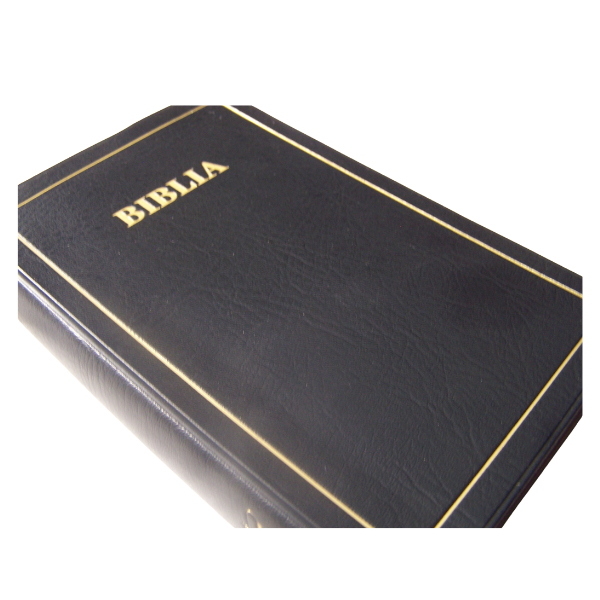 BIBLIA: MAANDIKO MATAKATIFU (Union Edition): Swahili Bible