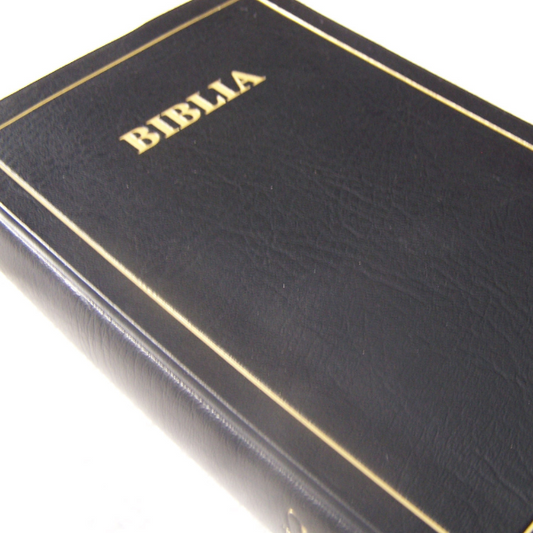 BIBLIA: MAANDIKO MATAKATIFU (Union Edition): Swahili Bible