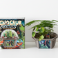 Dinosaur Domain Biosphere Terrarium