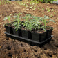 5" Nursery Pots with Insert Tray