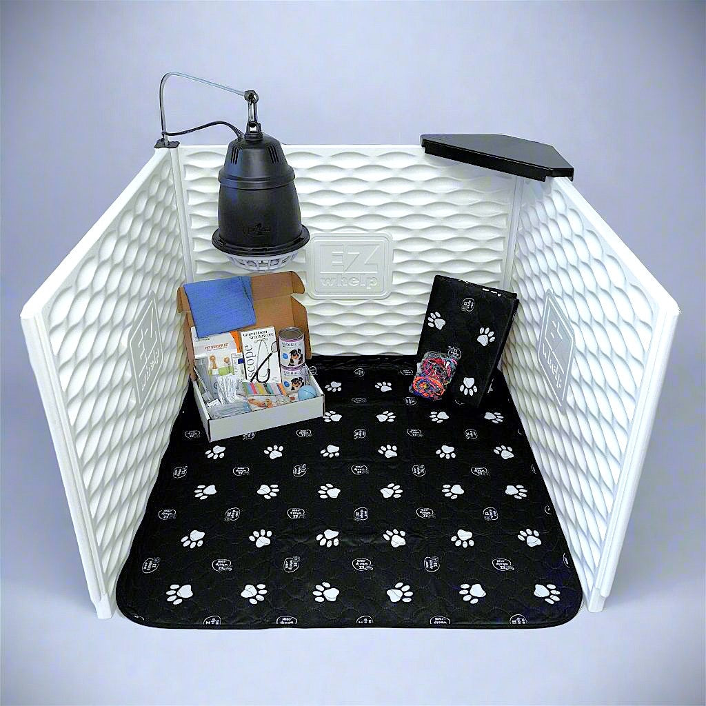 Paquetes - Set Esencial EZclassic