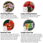 Bloom Juice Award-Winning Formula