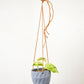 Virago Modern Hanging Planter- Grid