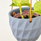Virago Modern Hanging Planter- Grid