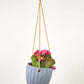 Virago Modern Hanging Planter- Waves
