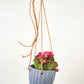 Virago Modern Hanging Planter- Waves