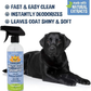Bodhi Dog Waterless Shampoo for Dogs & Cats – 6 Scents