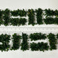 Bucephalandra on Wire Mat