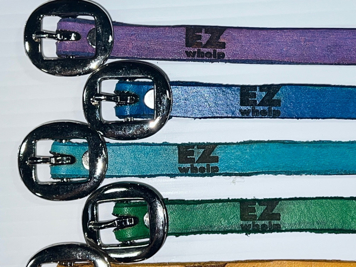 Collares de cuero genuino para cachorros (juego de 12)
